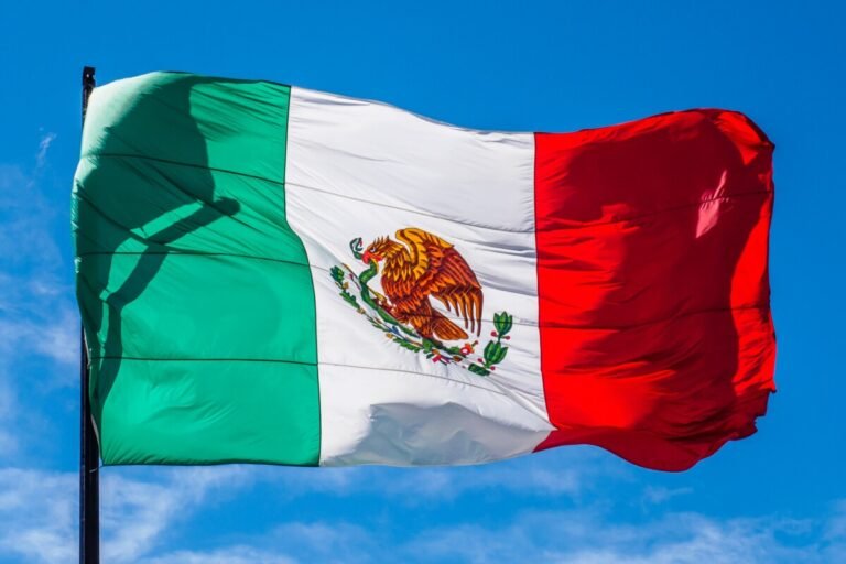 Media Influence Matrix Mexico: Government, Politics and Regulation