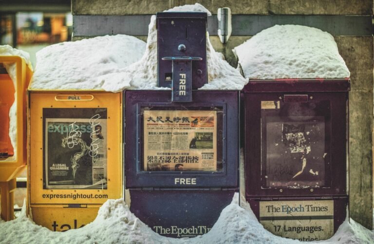 Media in Exile: Key Players in Resisting Autocratization