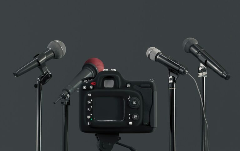How Associations of Journalists Protect Press Freedom in Europe