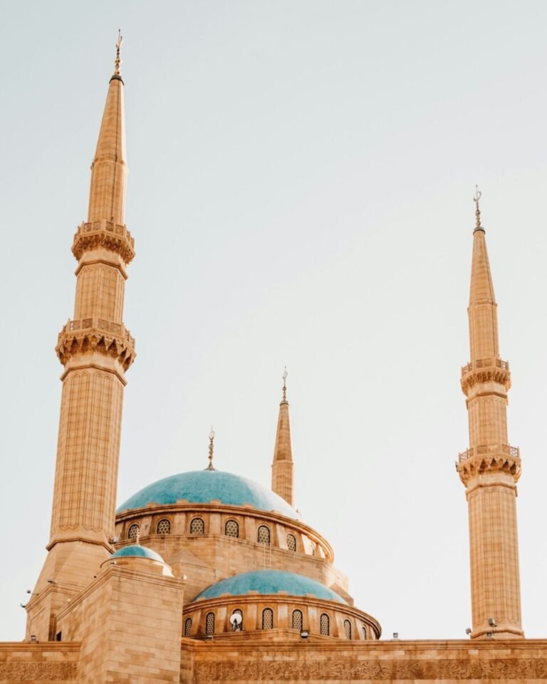 Arabic Versions of Reports on EU Media Regulations and Policies Released