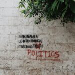 Politics Pic